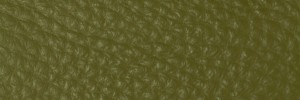 256 Aloe Colour Leather from Collection, Contempo leather collection