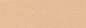 Cream 177 Colour Leather from Collection, Panda leather collection