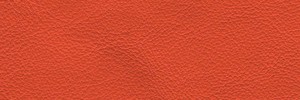 Begonia 617 Colour Leather from Manhattan, Manhattan leather collection