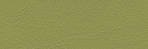 Green 631 Colour Leather from Manhattan, Manhattan leather collection