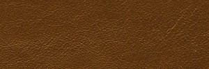 760 Peltro Colour Leather from Atmosphere, Studio leather collection