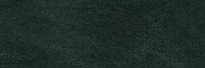Nordic Green 7013 Colour Leather from Boston, Studio leather collection