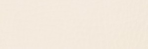 301 Dash Colour Leather from Collection, Contempo leather collection