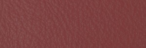 240 Begonia Colour Leather from Collection, Contempo leather collection