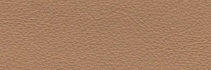 Tortora 659 Colour Leather from Manhattan, Manhattan leather collection