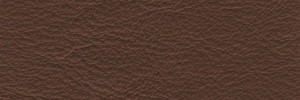 Castagna 612 Colour Leather from Collection, Manhattan leather collection