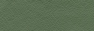 Abete 686 Colour Leather from Collection, Manhattan leather collection