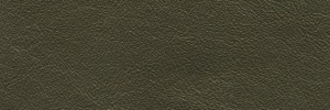 761 Old Bronze Colour Leather from Atmosphere, Studio leather collection