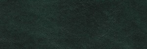 Nordic Green 7013 **NEW COLOUR** Colour Leather from Boston, Timeless leather collection