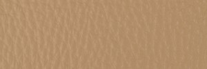 220 Desert Storm  Colour Leather from Collection, Contempo leather collection