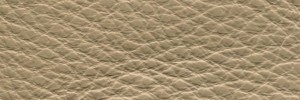 213 Buckskin  Colour Leather from Collection, Contempo leather collection