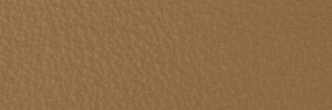 222 Cinnamon Colour Leather from Collection, Contempo leather collection