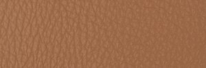 295 Tan Colour Leather from Collection, Contempo leather collection