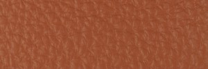 223 Swamp Colour Leather from Collection, Contempo leather collection