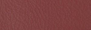 240 Begonia Colour Leather from Collection, Contempo leather collection
