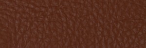 289 Hazelnut Colour Leather from Collection, Contempo leather collection