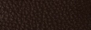 231 Chestnut Colour Leather from Collection, Contempo leather collection