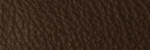 298 Root Colour Leather from Collection, Contempo leather collection