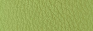 294 Lime Colour Leather from Collection, Contempo leather collection