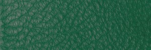 261 Cedar Green Colour Leather from Collection, Contempo leather collection