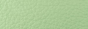 445 Emerald Colour Leather from Collection, Ocean leather collection