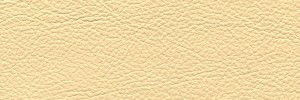 Ice 151 Colour Leather from Collection, Panda leather collection