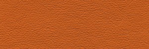 Tan 165 Colour Leather from Collection, Panda leather collection