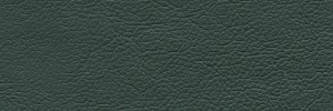 Green 159 Colour Leather from Collection, Panda leather collection