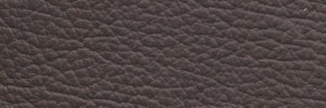 Teak 167 Colour Leather from Collection, Panda leather collection