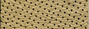 Cream - Perforated Colour Leather from Daytona, Automotive leather collection
