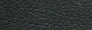 Black - Plain Colour Leather from Daytona, Automotive leather collection