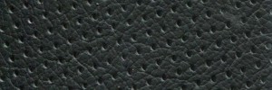 Black - Perforated Colour Leather from Daytona, Automotive leather collection
