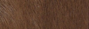 A12 Brown Colour Leather from Hair On Hide, H O H leather collection