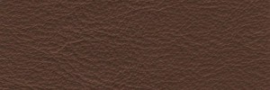 Castagna 612 Colour Leather from Manhattan, Manhattan leather collection