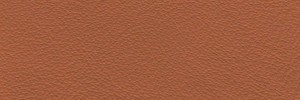 Wood 609 Colour Leather from Manhattan, Manhattan leather collection