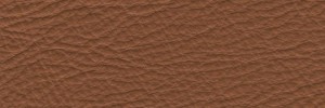 Nocciola 607 Colour Leather from Manhattan, Manhattan leather collection