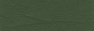 Pino 653 Colour Leather from Manhattan, Manhattan leather collection