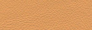 Caffelatte 637 Colour Leather from Manhattan, Manhattan leather collection