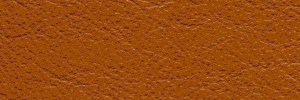 New Cognac 680 Colour Leather from Manhattan, Manhattan leather collection