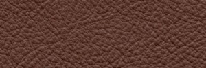 Muscat 681  Colour Leather from Manhattan, Manhattan leather collection