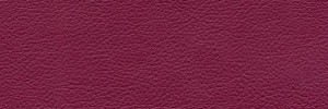 Cirese 699  Colour Leather from Manhattan, Manhattan leather collection