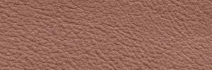 Rosa Antico 651  Colour Leather from Manhattan, Manhattan leather collection