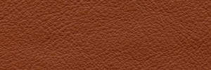 Cotto 656  Colour Leather from Manhattan, Manhattan leather collection
