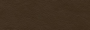 Moretto 646 Colour Leather from Manhattan, Manhattan leather collection