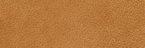 Sand 1305 Colour Leather from Epic, Studio leather collection