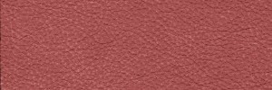 Burgundy 1309 Colour Leather from Epic, Studio leather collection