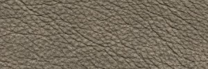 Shark 1311 Colour Leather from Epic, Studio leather collection