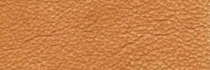 Cognac 1306 Colour Leather from Epic, Studio leather collection