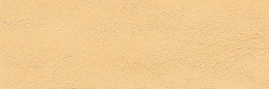 751 Champagne Colour Leather from Atmosphere, Studio leather collection
