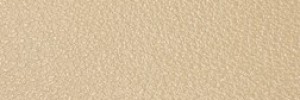 752 Akoya Colour Leather from Atmosphere, Studio leather collection